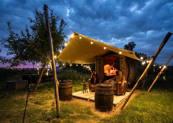 Tiny Wineyhouse No 1