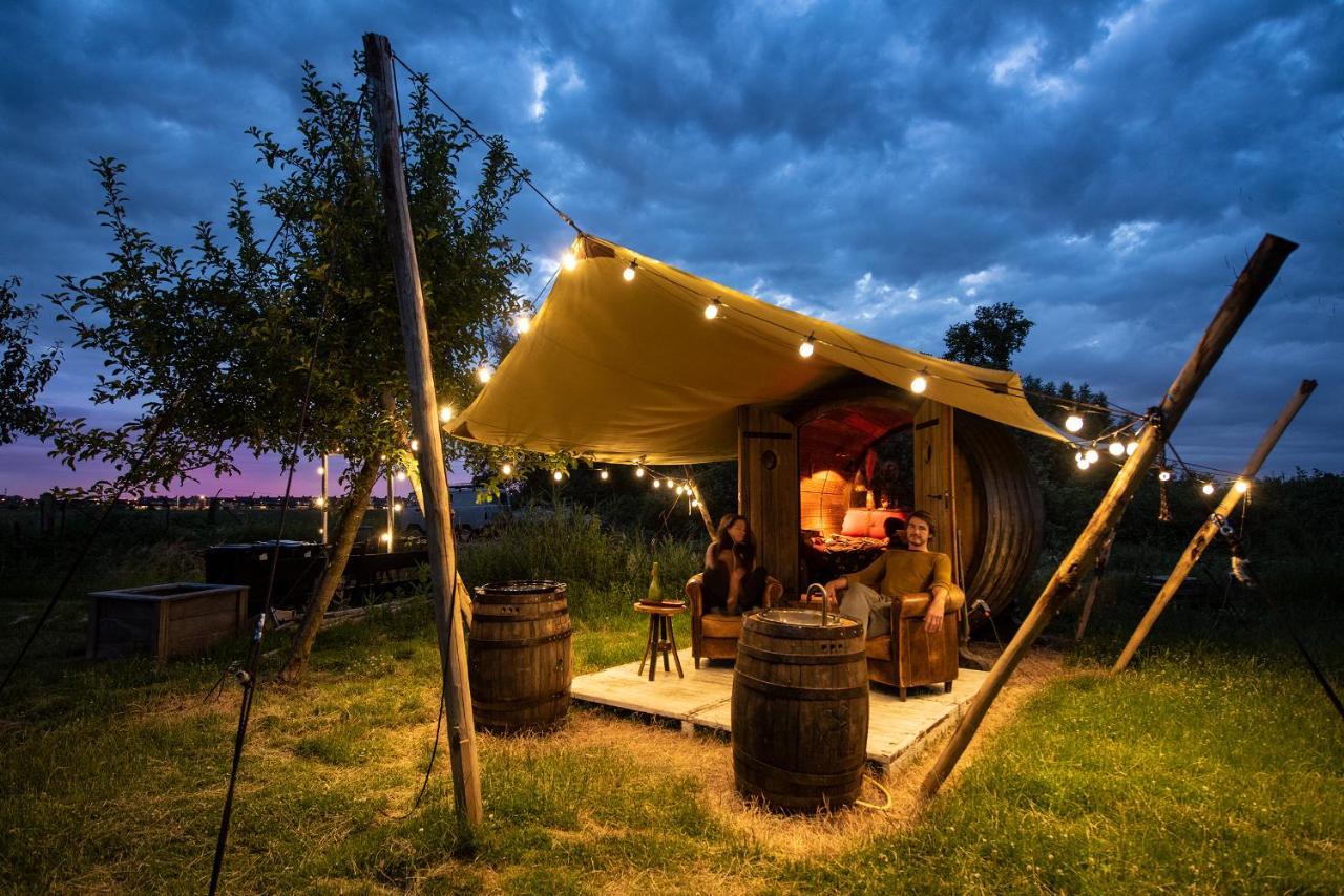 Tiny Wineyhouse No 1 *
