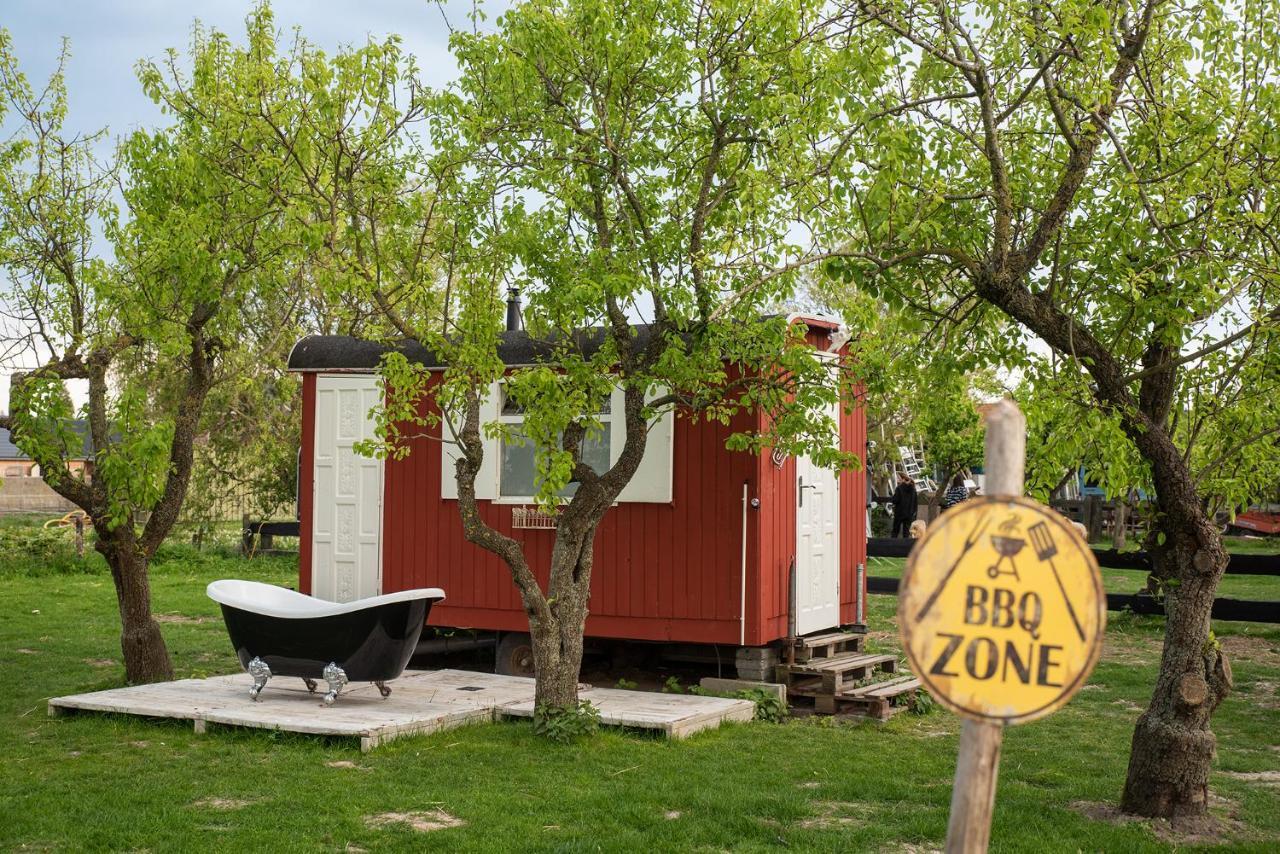 Tiny Wineyhouse No 1