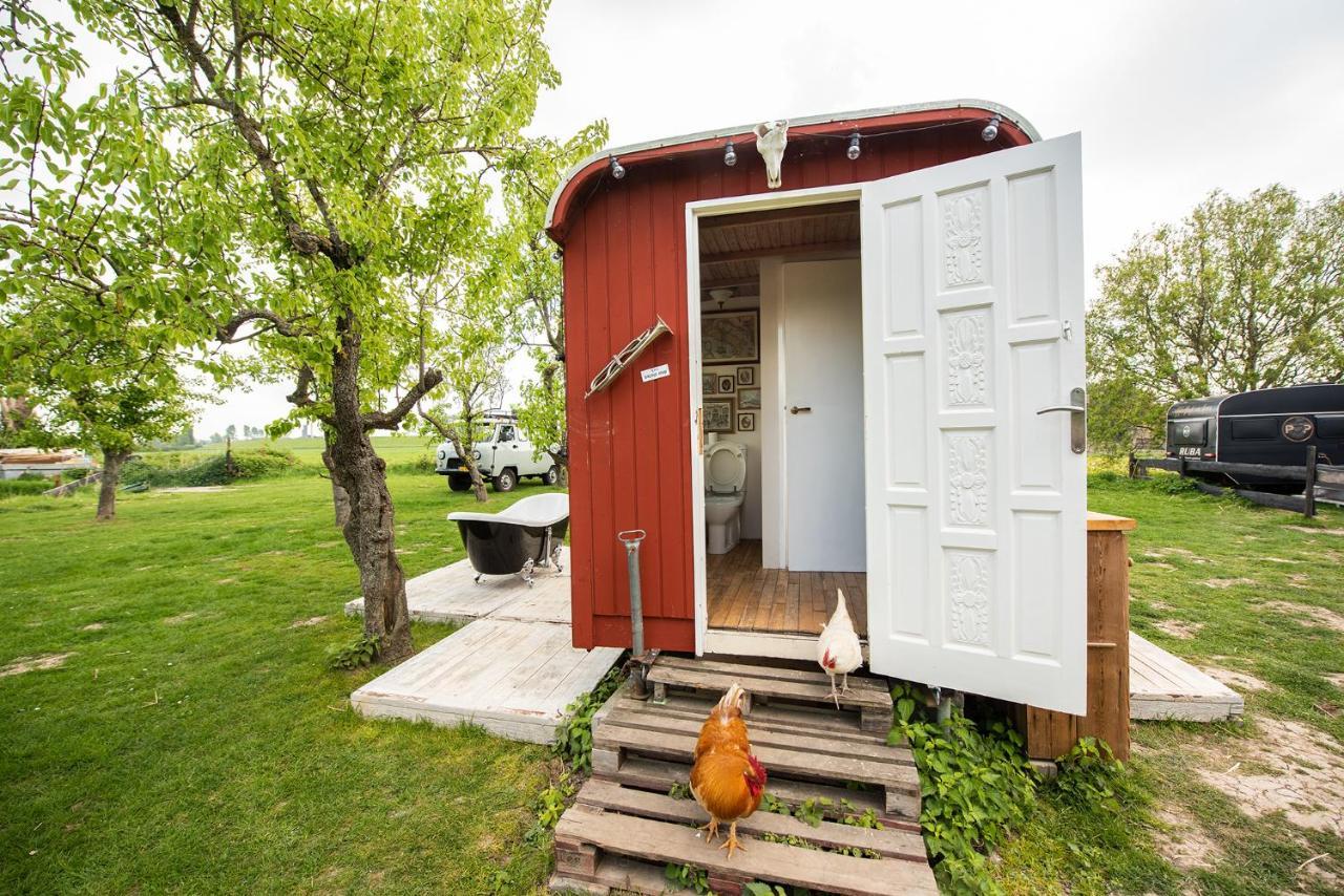 Tiny Wineyhouse No 1 Campsite *