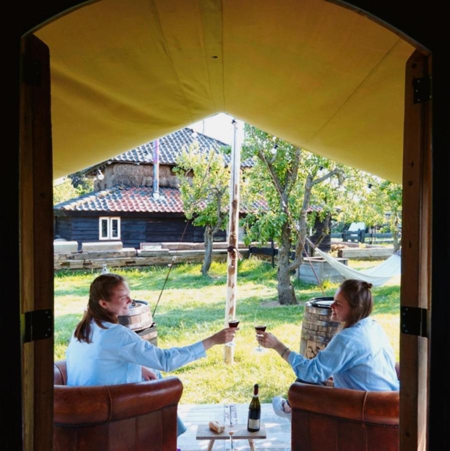 Tiny Wineyhouse No 1 Campsite *