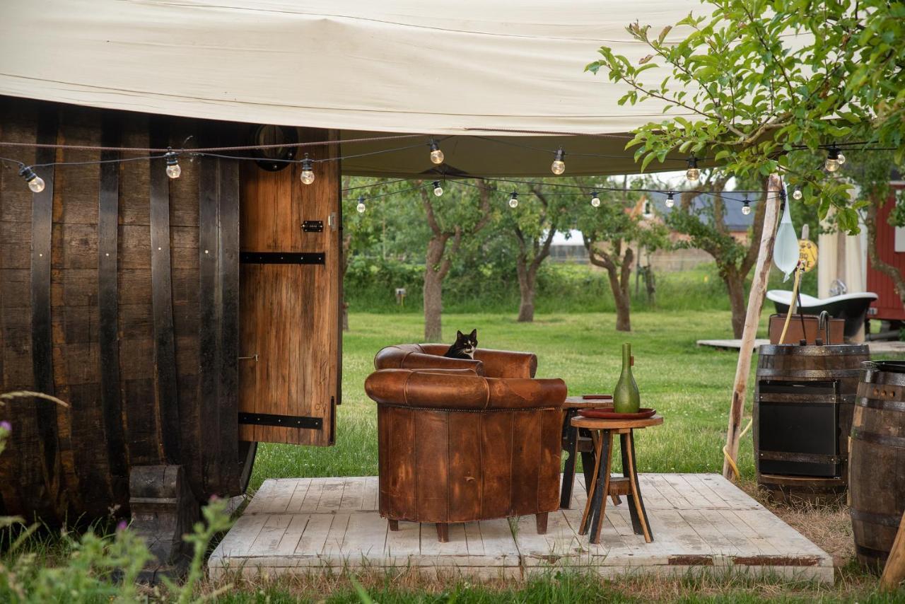 Tiny Wineyhouse No 1 Zennewijnen